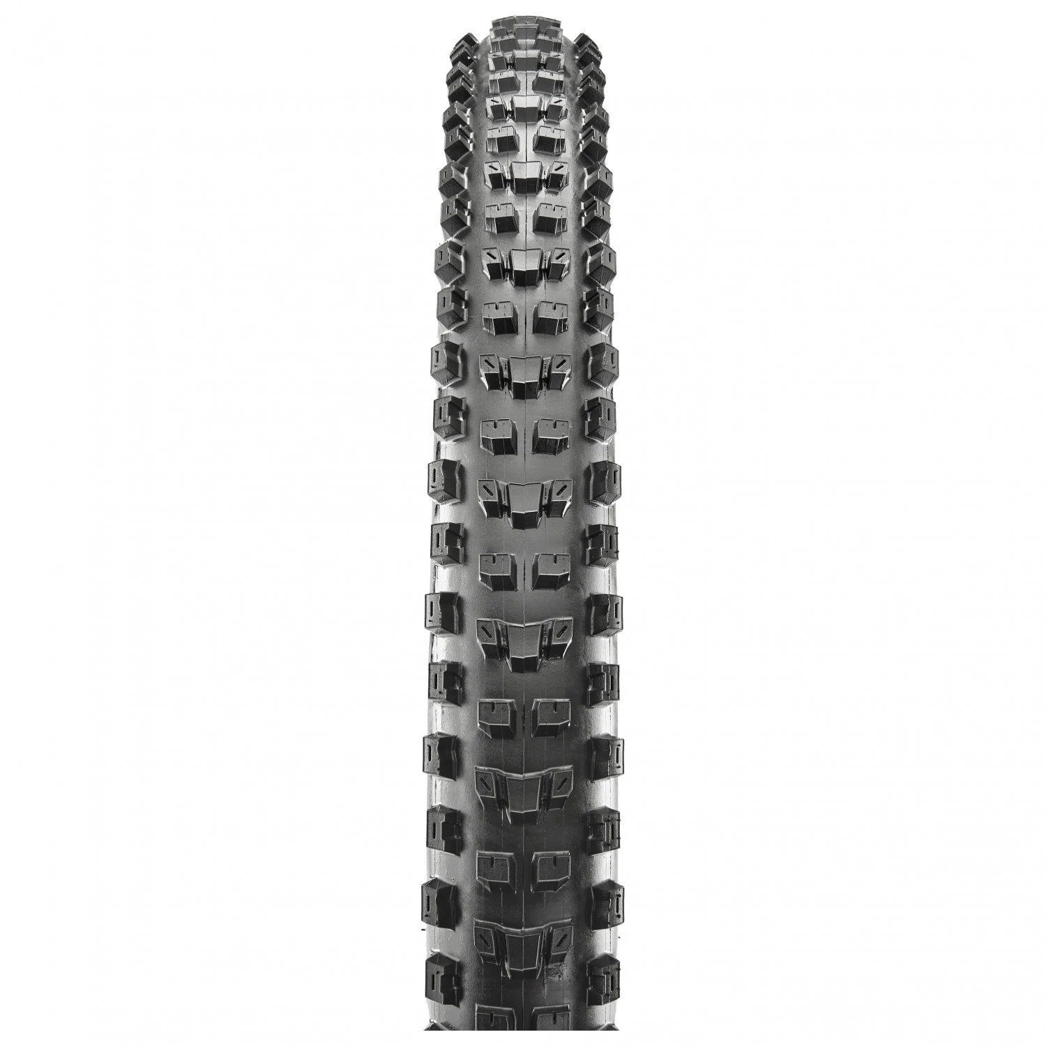 Maxxis - Dissector 29'' (61-622) WT 3C MaxxTerra DD TR - Cyclocross Tyre 4 Maxxis - Dissector 29'' (61-622) WT 3C MaxxTerra DD TR - Cyclocross Tyre - Image 2
